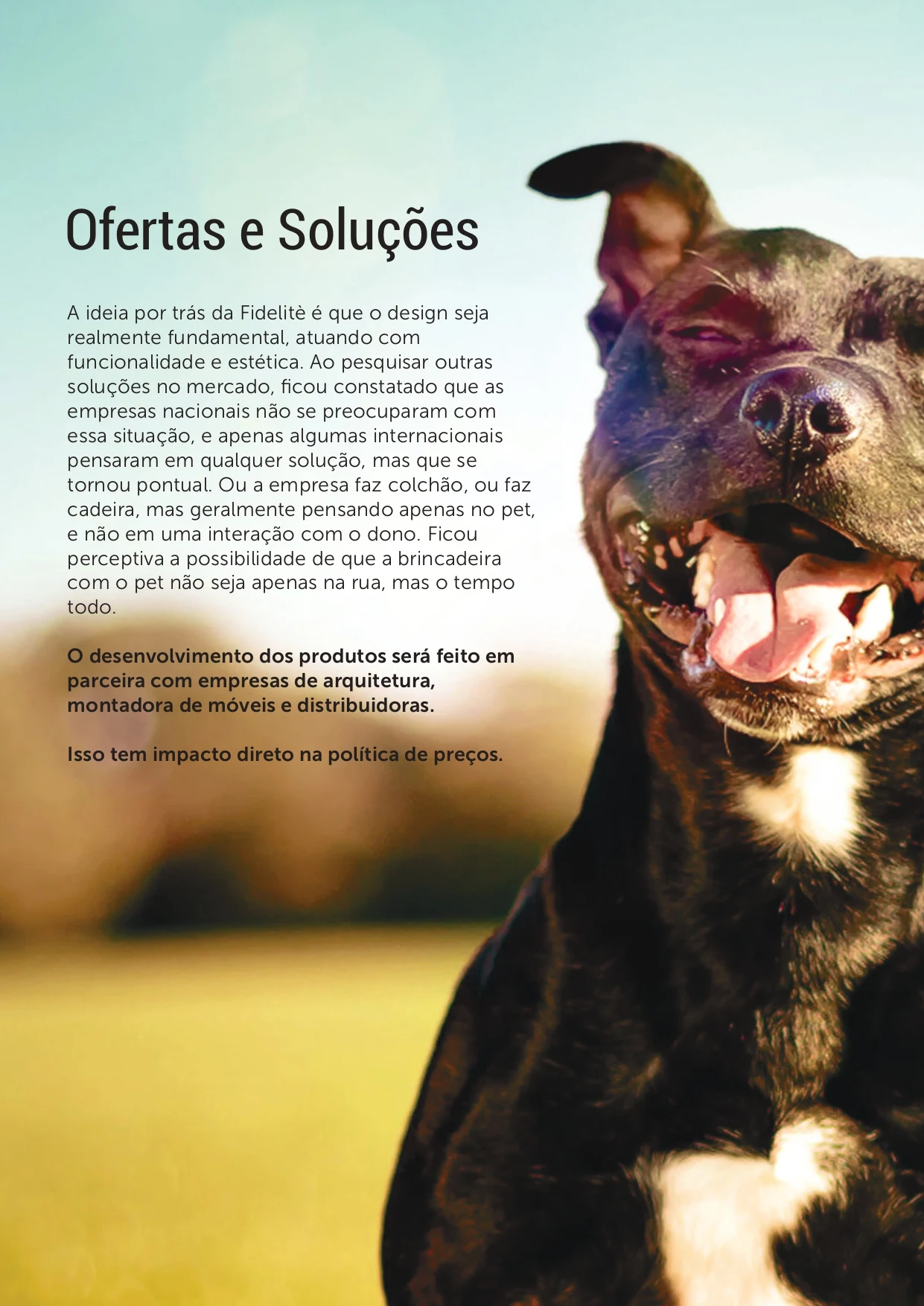 Página Ofertas e Soluções do relatório Fidélité