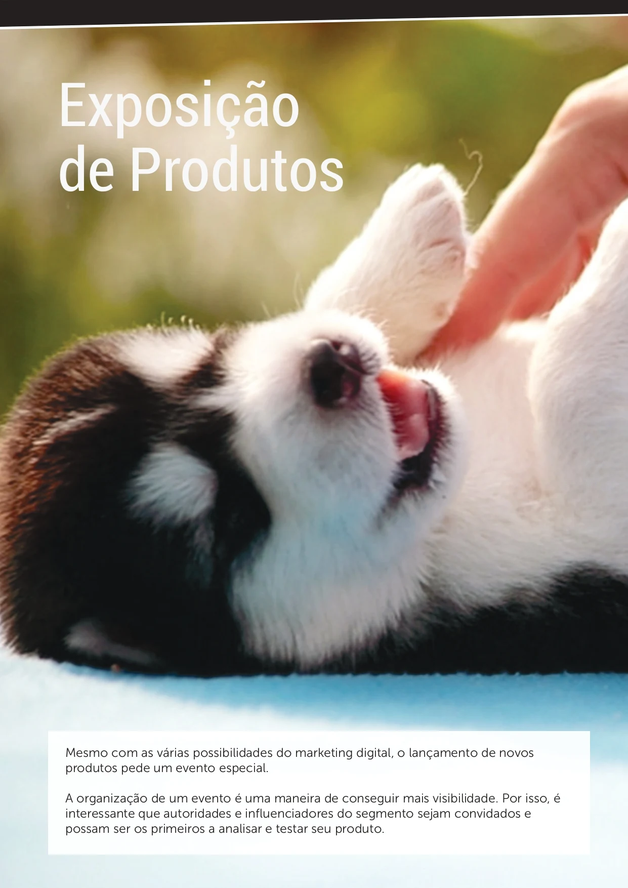 Página Exposição de Produtos do relatório Fidélité